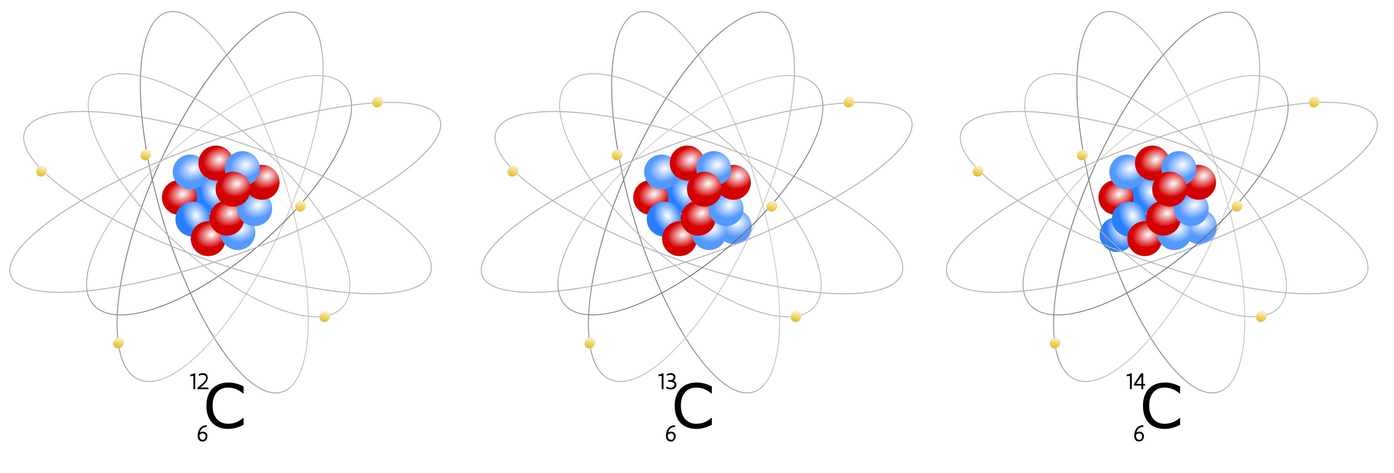 Atoommodel voor drie isotopen van het element koolstof. De isotopen ^13^C en ^14^C hebben respectievelijk één en twee neutronen (blauw) meer in hun atoomkern dan de meest courante koolstofisotoop ^12^C. Het aantal protonen (rood) blijft gelijk.